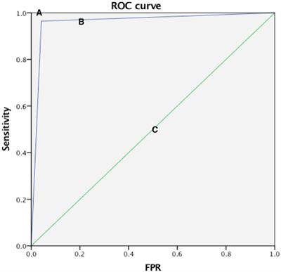 Role of Contrast-Enhanced Ultrasound in the Evaluation of Patients With Suspected Renal Arterial Stenosis